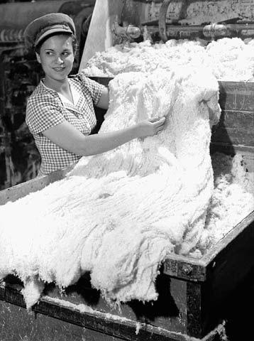 At the time, asbestos was seen as a “miracle material.” Workers handled it with bare hands, unaware of its lethal fibers.